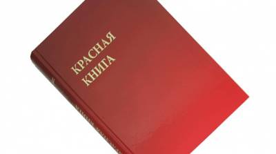 Картинка к материалу: «Вокруг Красной Книги»